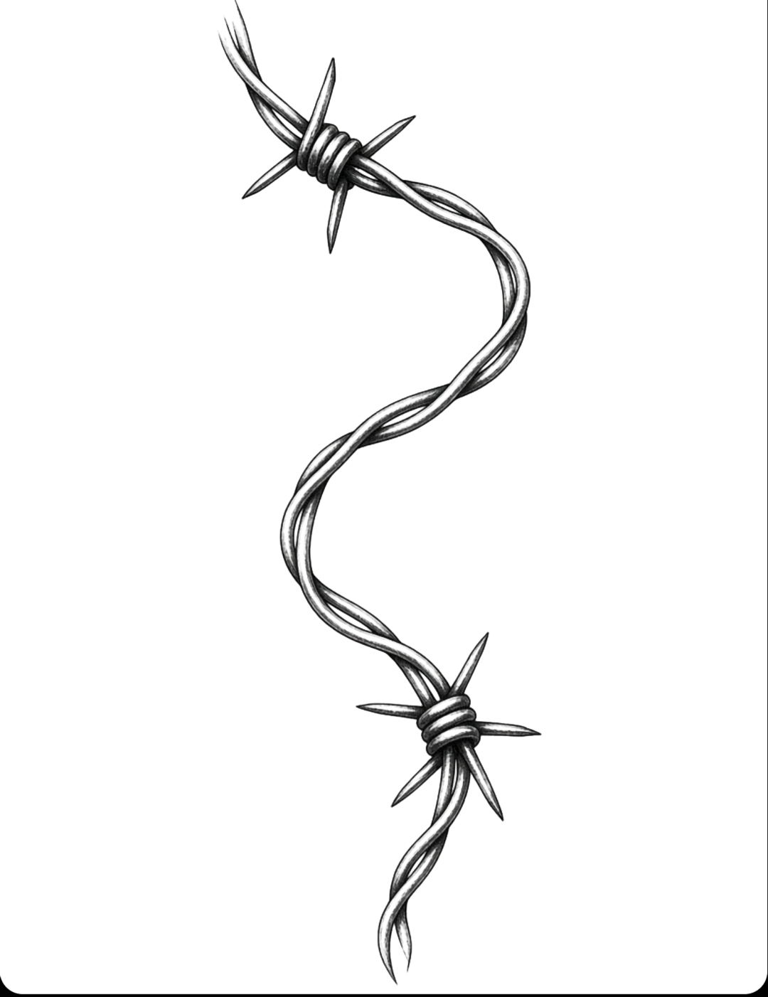 Barbed Wire Curve