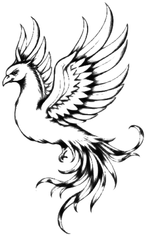 Rising Phoenix