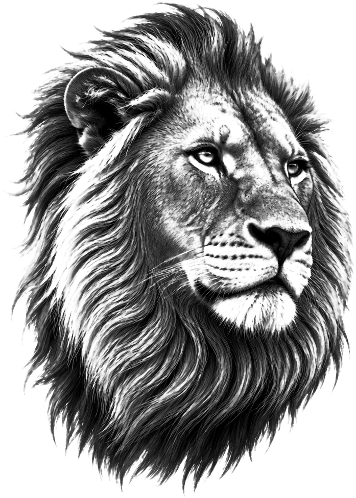 Lion Portrait