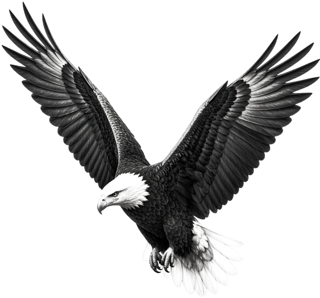 Soaring Eagle