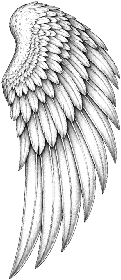 Feathered Wing